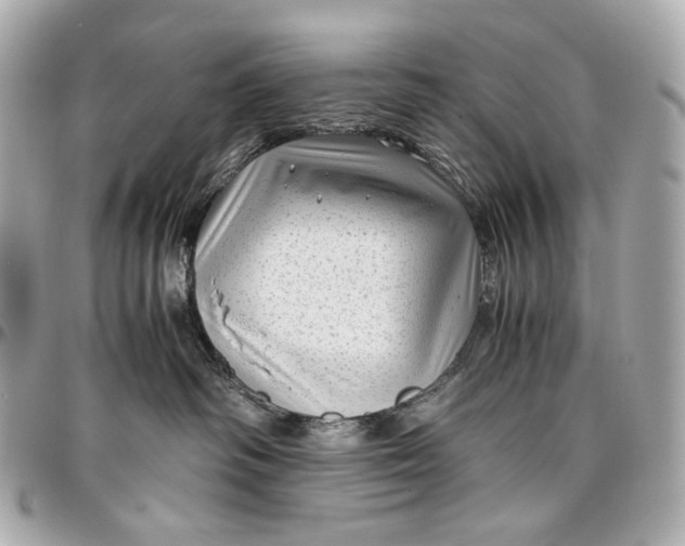 X0000096980334200802221440