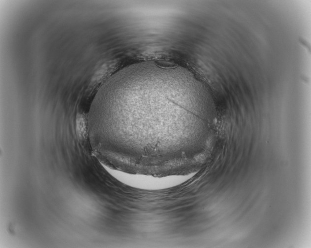 X0000096980335200802221440