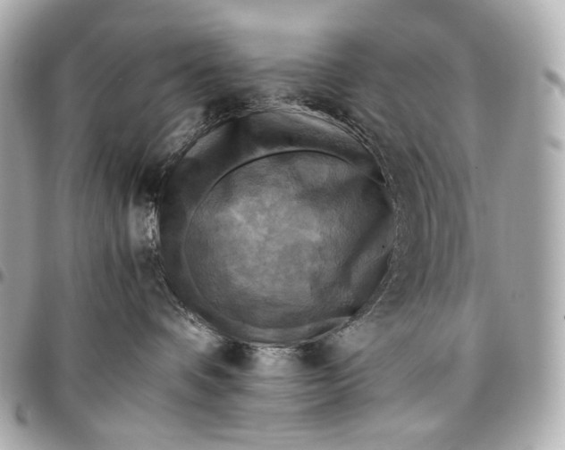 X0000096980336200802221440