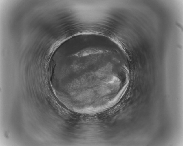 X0000096980337200802221439