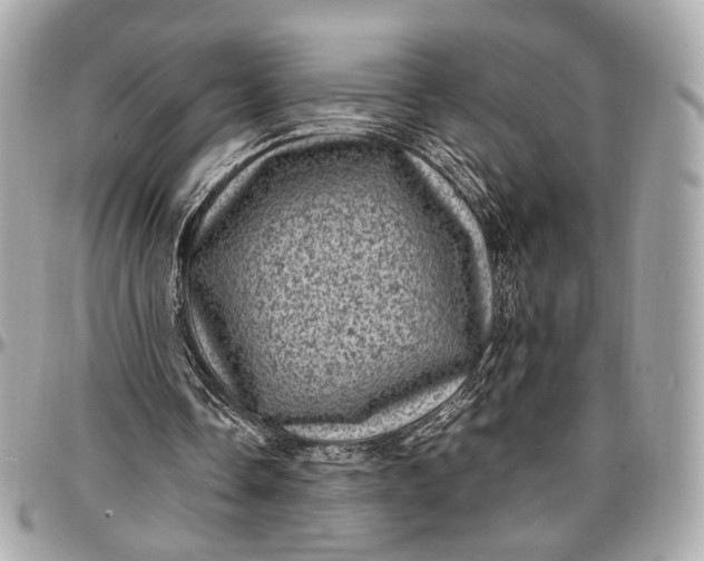 X0000096980338200802221439