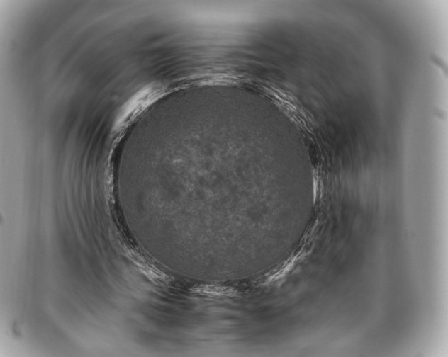 X0000096980339200802221439