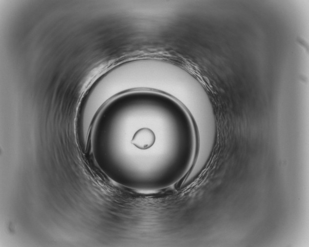 X0000096980340200802221439