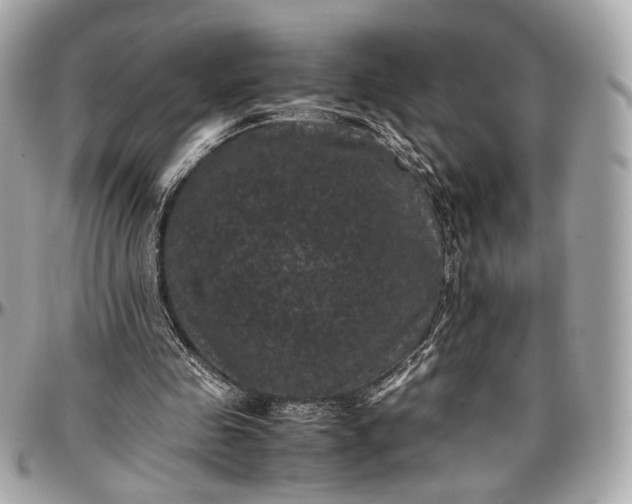 X0000096980341200802221439