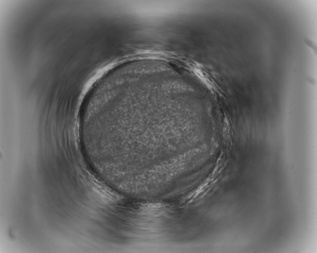 X0000096980342200802221439