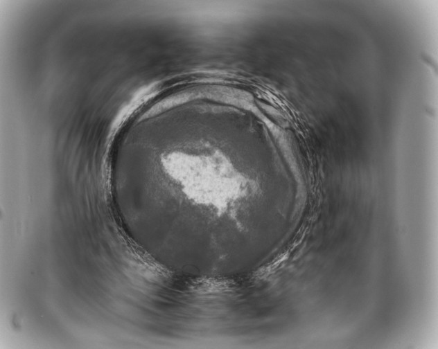 X0000096980343200802221439