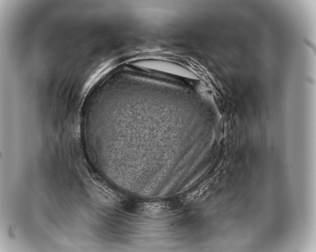 X0000096980344200802221439