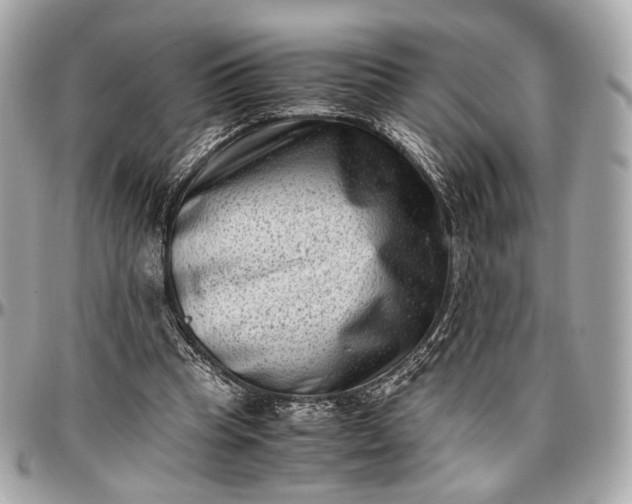 X0000096980345200802221439