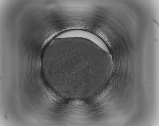 X0000096980348200802221439