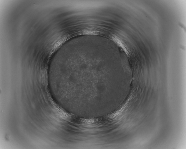 X0000096980349200802221439