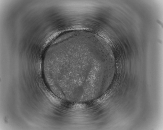 X0000096980350200802221439