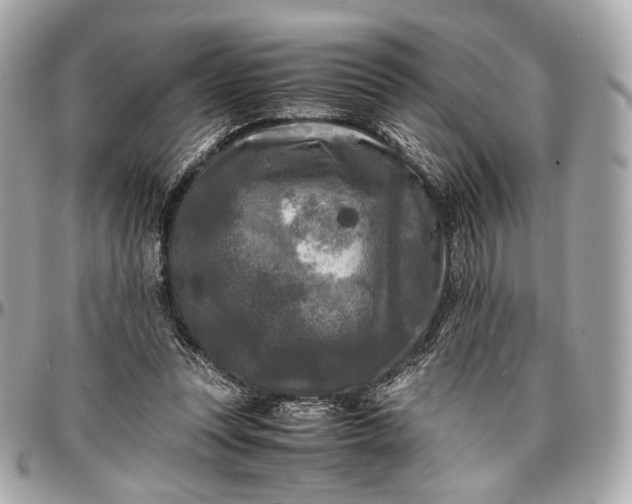 X0000096980351200802221439