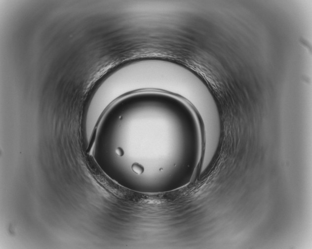 X0000096980352200802221439