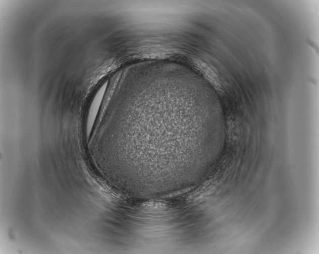 X0000096980354200802221439