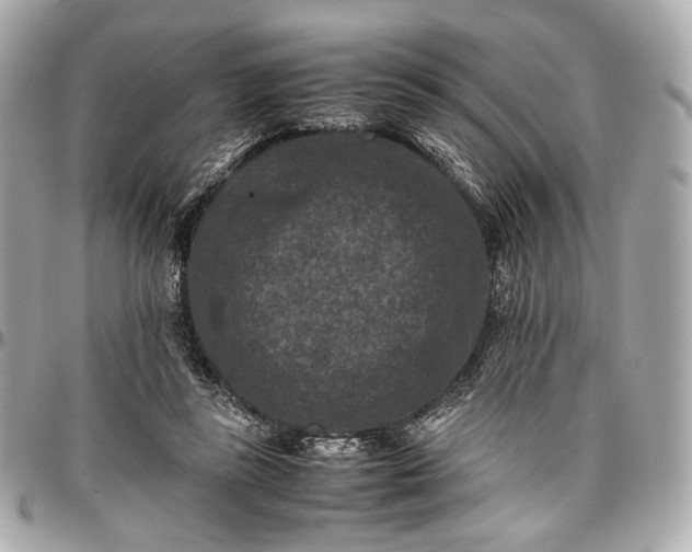 X0000096980355200802221439