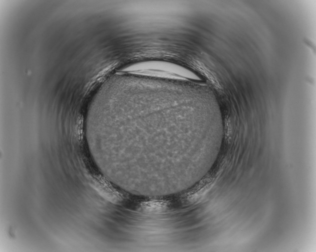 X0000096980356200802221439