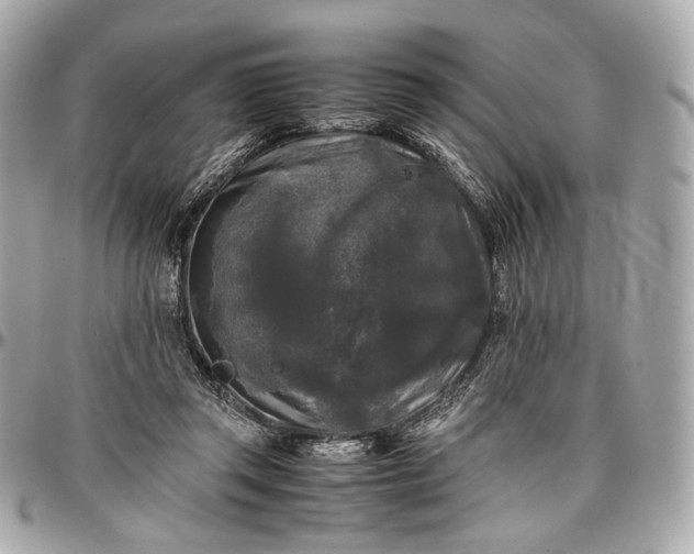 X0000096980357200802221439