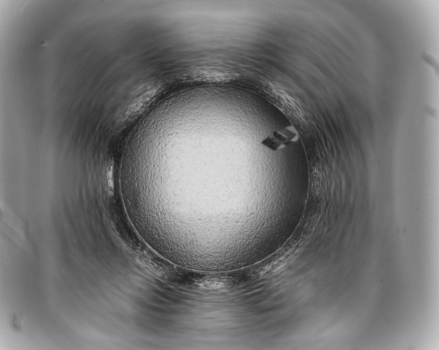 X0000096980358200802221439