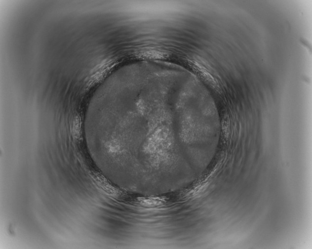 X0000096980359200802221439