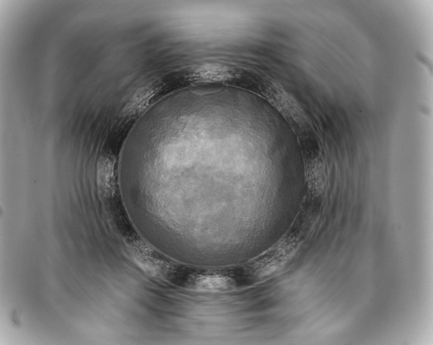 X0000096980360200802221439