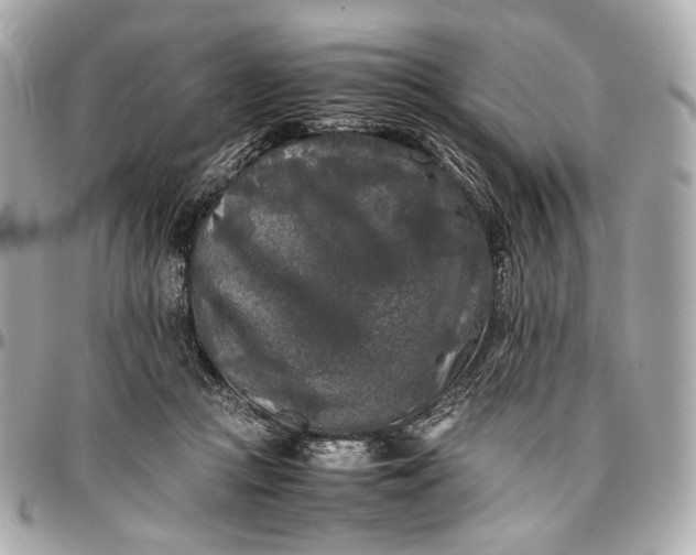 X0000096980361200802221439