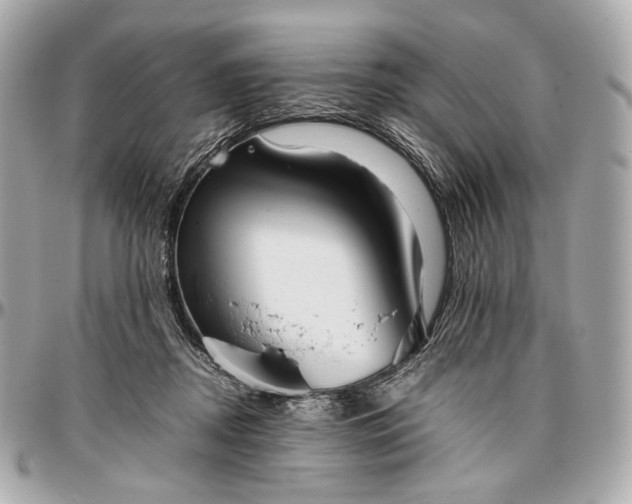 X0000096980362200802221439