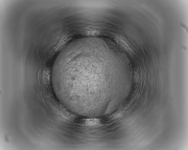 X0000096980363200802221439