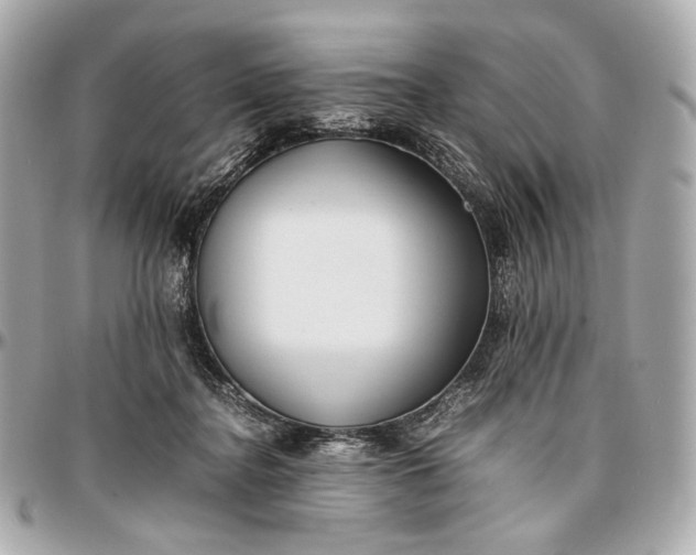 X0000096980364200802221439