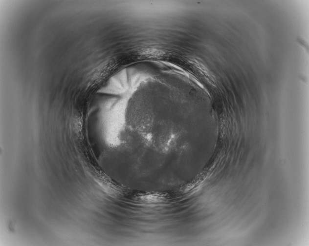 X0000096980365200802221439