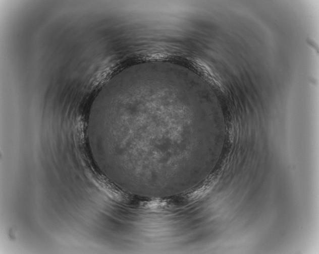 X0000096980366200802221439