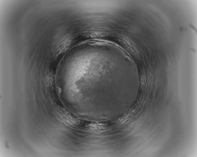 X0000096980367200802221439