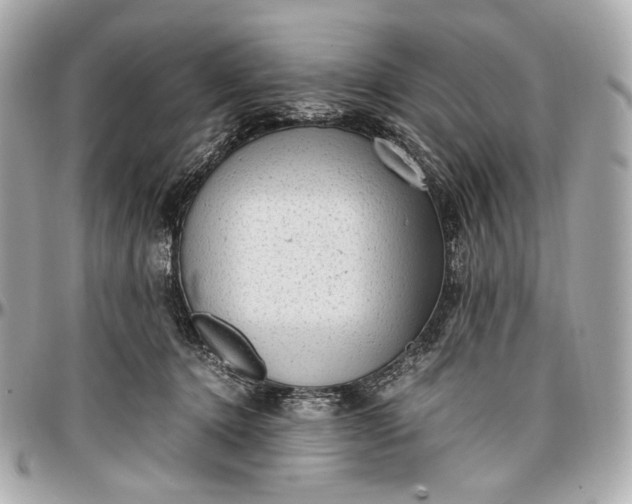 X0000096980368200802221440