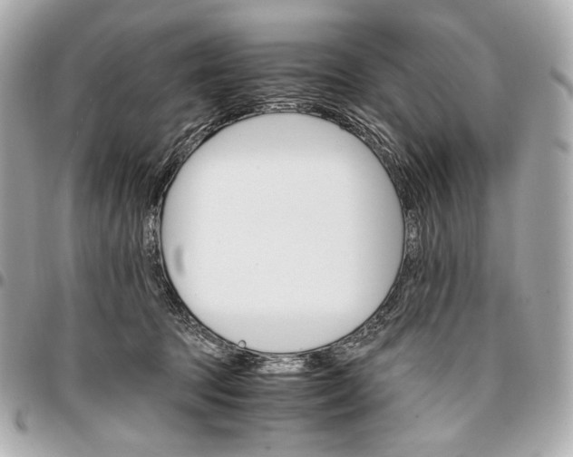 X0000096980369200802221440