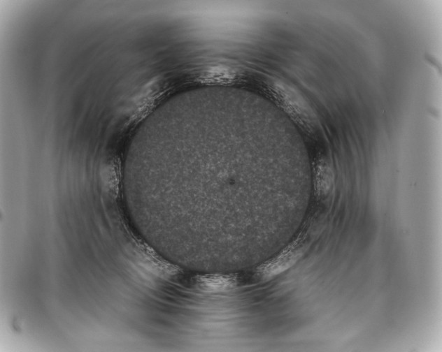 X0000096980370200802221440