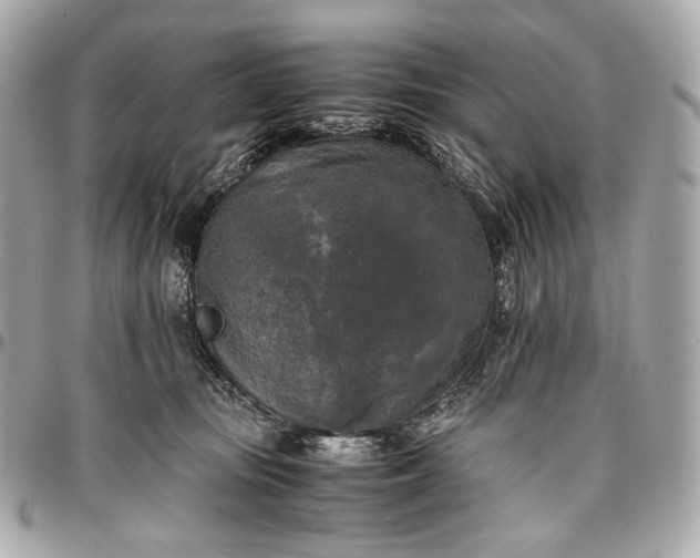 X0000096980371200802221440