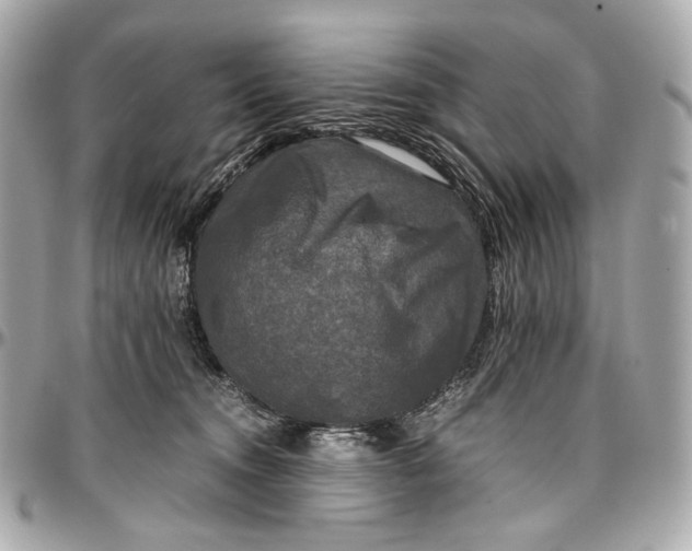 X0000096980372200802221440