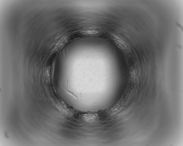 X0000096980373200802221440