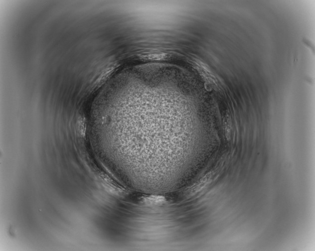 X0000096980374200802221440