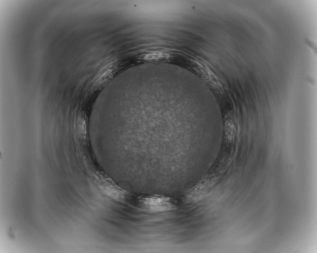 X0000096980375200802221440