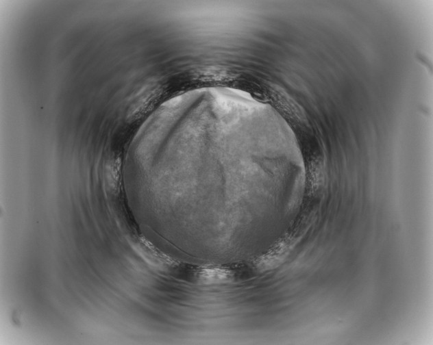 X0000096980376200802221440