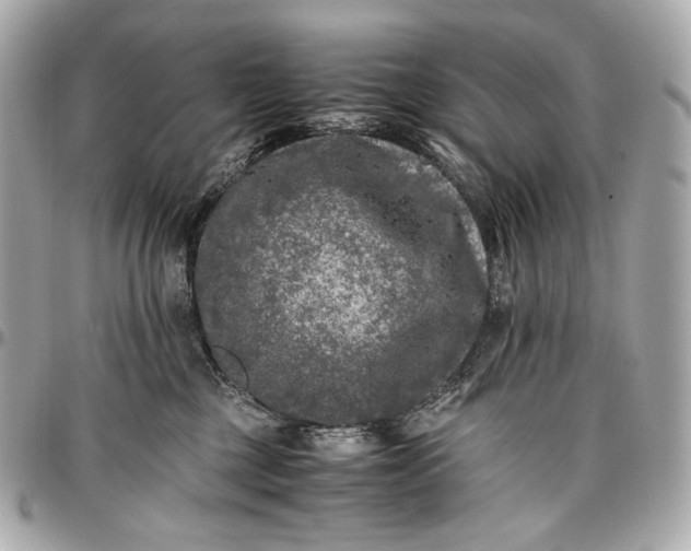 X0000096980377200802221440