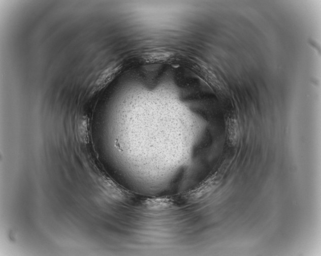 X0000096980378200802221440