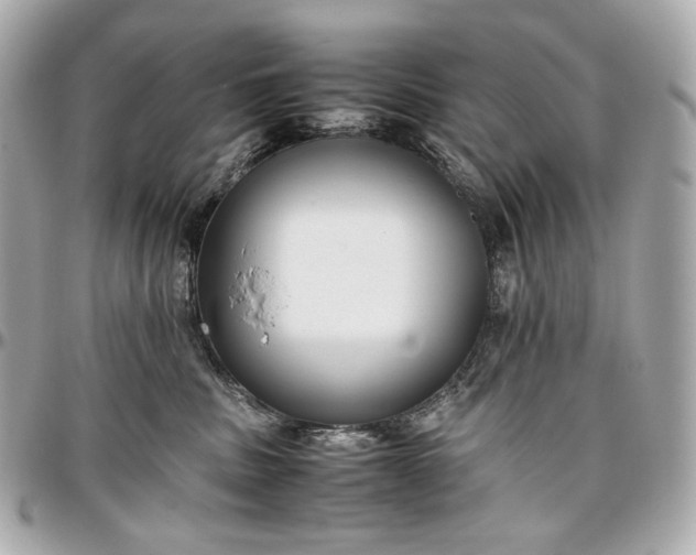 X0000096980379200802221440