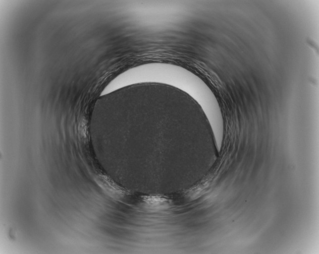 X0000096980380200802221440