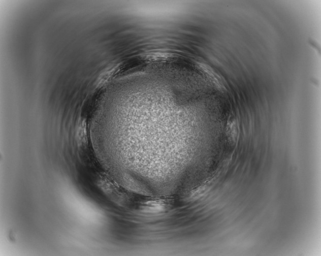 X0000096980381200802221440