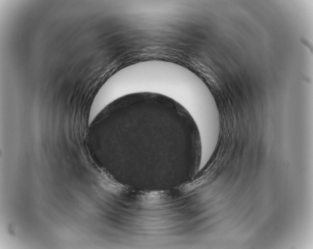 X0000096980382200802221440