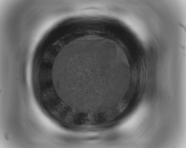 X0000096980383200802221440