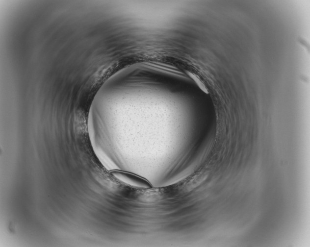 X0000096980384200802221440