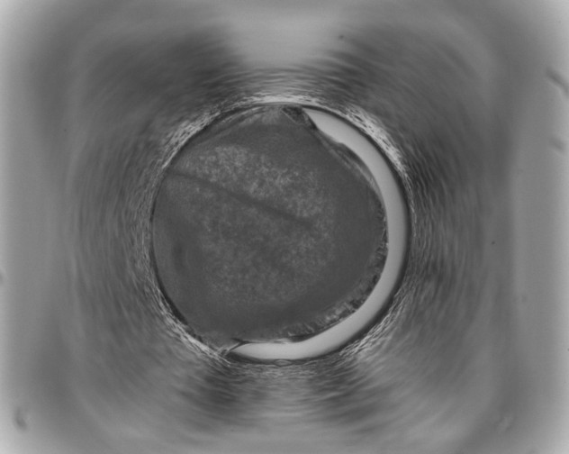 X0000096980385200802221439