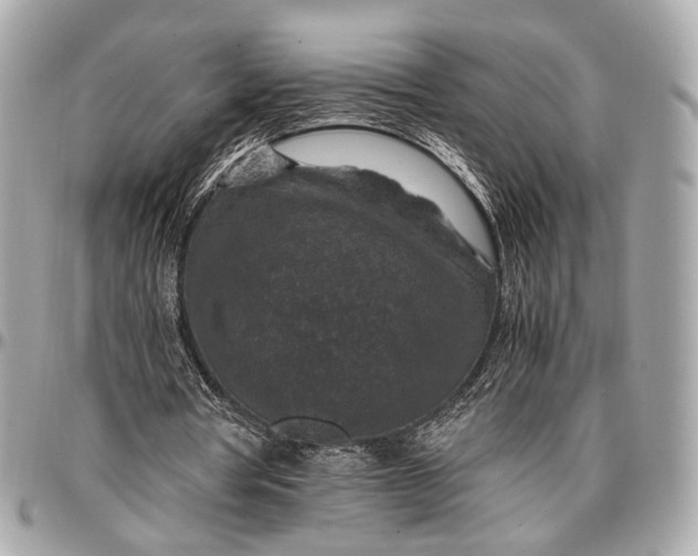 X0000096980386200802221439